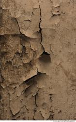 Walls Plaster